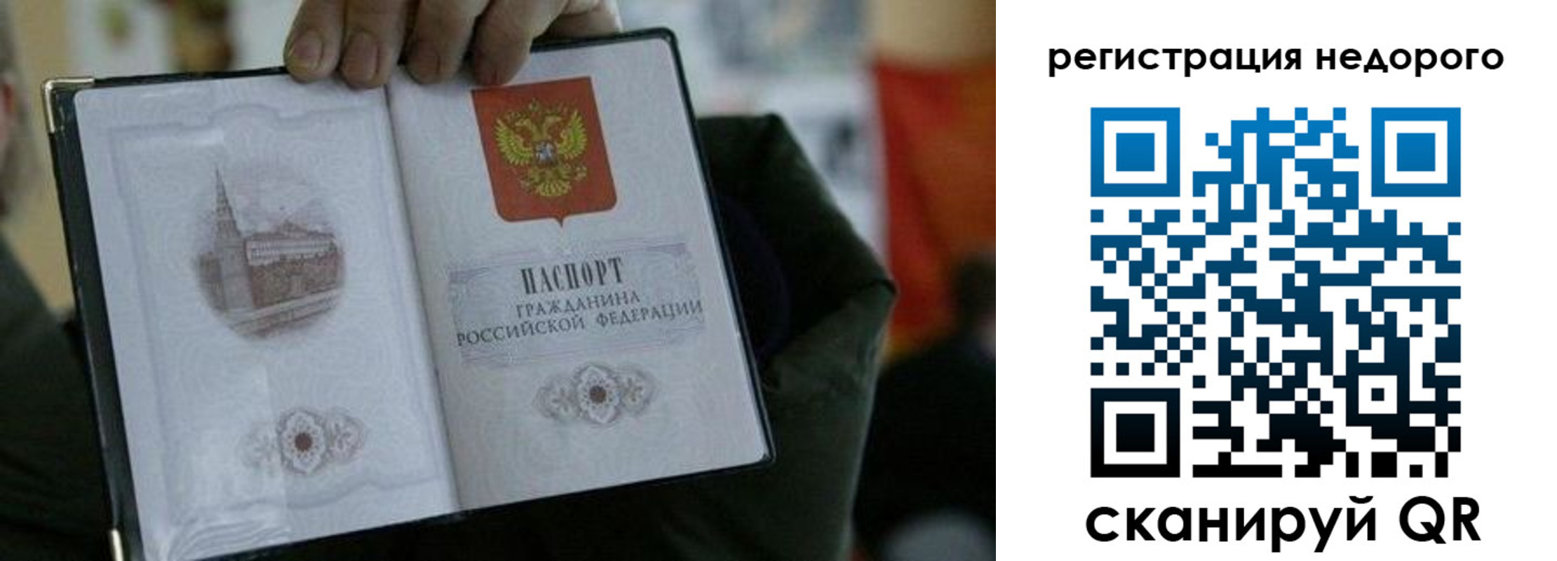 временная регистрация поиск в Чкаловске